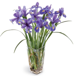 Blooming Iris Bouquet